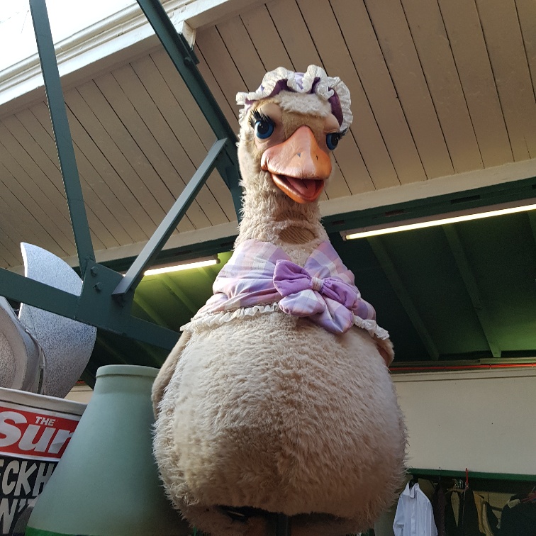 Mother Goose Pantomime Theatrical Costumes for Hire